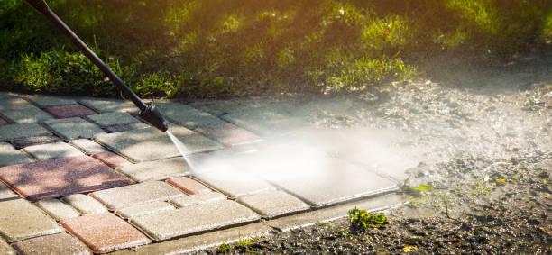 Best Driveway Pressure Washing  in Gibsonia, PA